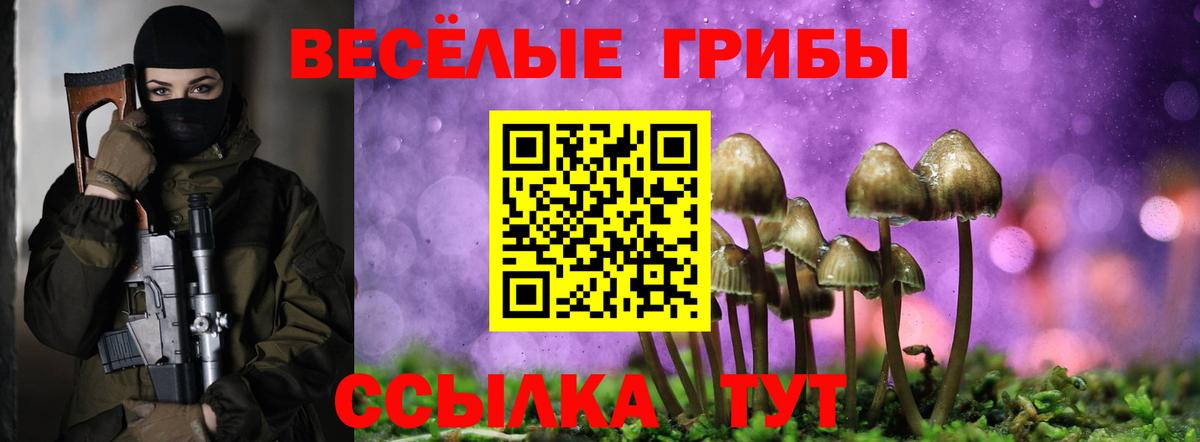 Псилоцибиновые грибы мухоморы  Вход с VPN  Балашиха 