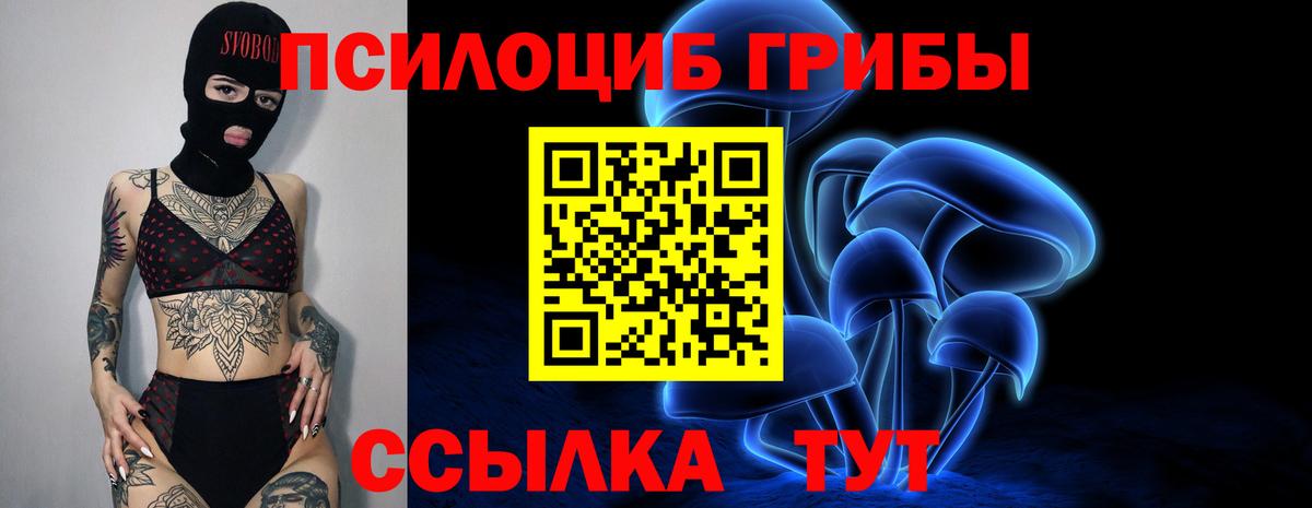 Псилоцибиновые грибы Psilocybine cubensis Балашиха